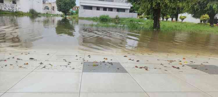 Drainage Crisis in Ansal Town, Jagadhri: Residents Suffer as Sewers Remain Clogged for Months