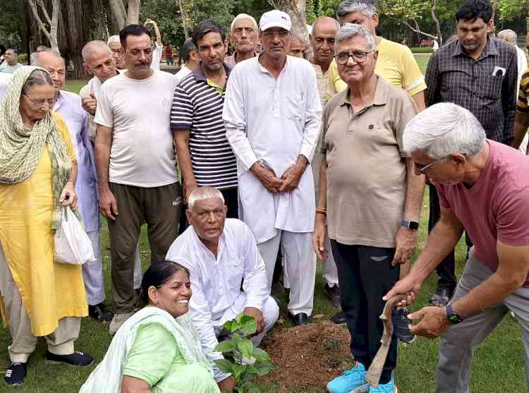 लगभग 50 लाख रुपए की लागत से पं. श्रीराम शर्मा पार्क में बना शेड, वाकिंग ट्रैक का हुआ सौंदयीकरण