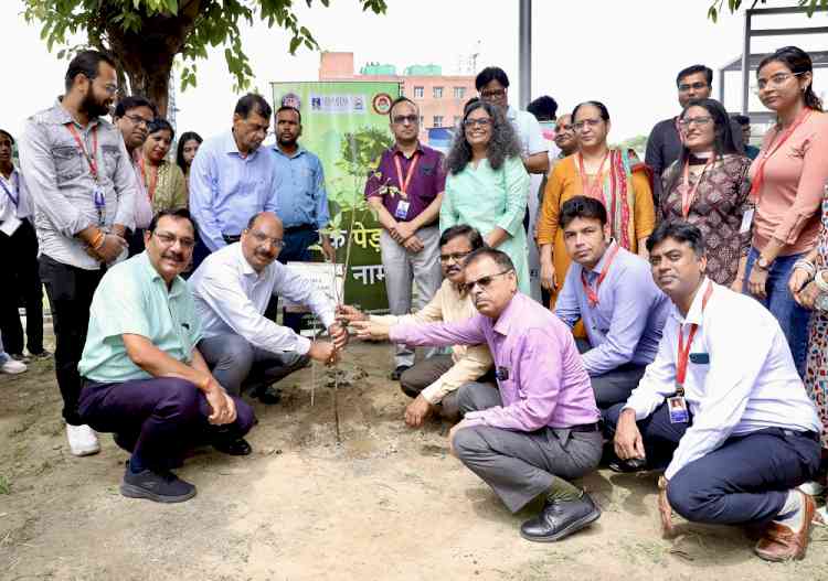 Tree Plantation Drive under “Ek Ped Maa Ke Naam” Campaign held at Sharda University