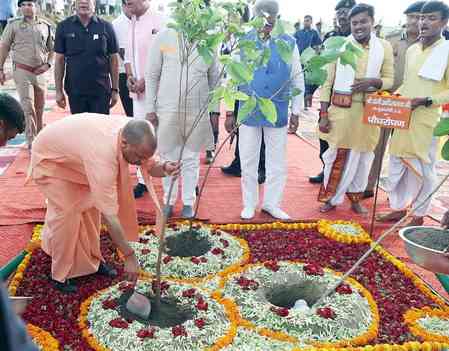 Planted 204 crore saplings, reforested 5 lakh acres in eight years: UP CM Yogi Adityanath