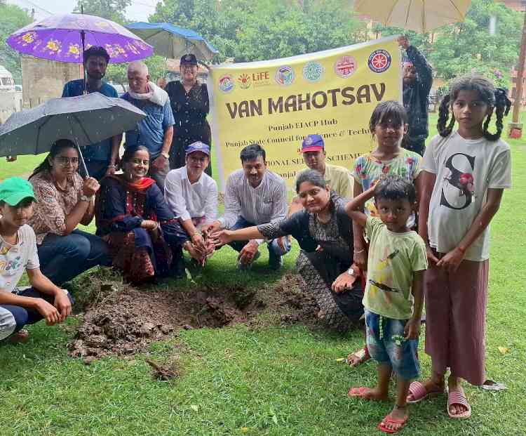 NSS Panjab University celebrates Guru Purnima by planting trees