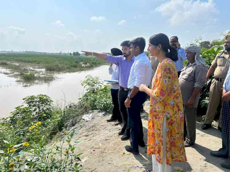 DC reviews flood management in areas along Sutlej river