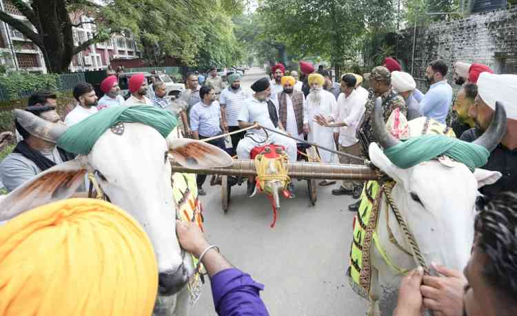 CM reiterates commitment to promote and preserve the tradition of rural games in the state