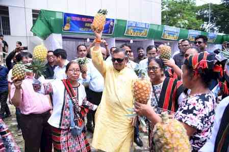 Tripura exported 73.15 MT of pineapple in seven years: Minister 