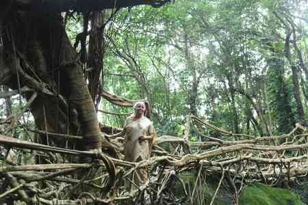 Living root bridges show the way to sustainable future: Nirmala Sitharaman