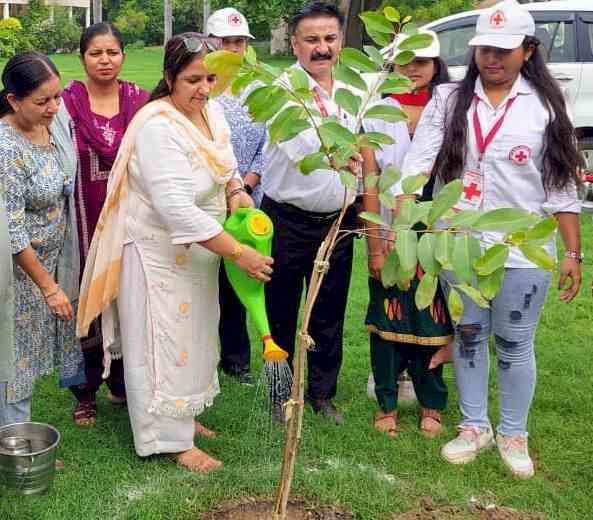 एक पेड़ मां के नाम अभियान के तहत नागरिक लगाएं ज्यादा से ज्यादा पेड़ः सुमन बाला