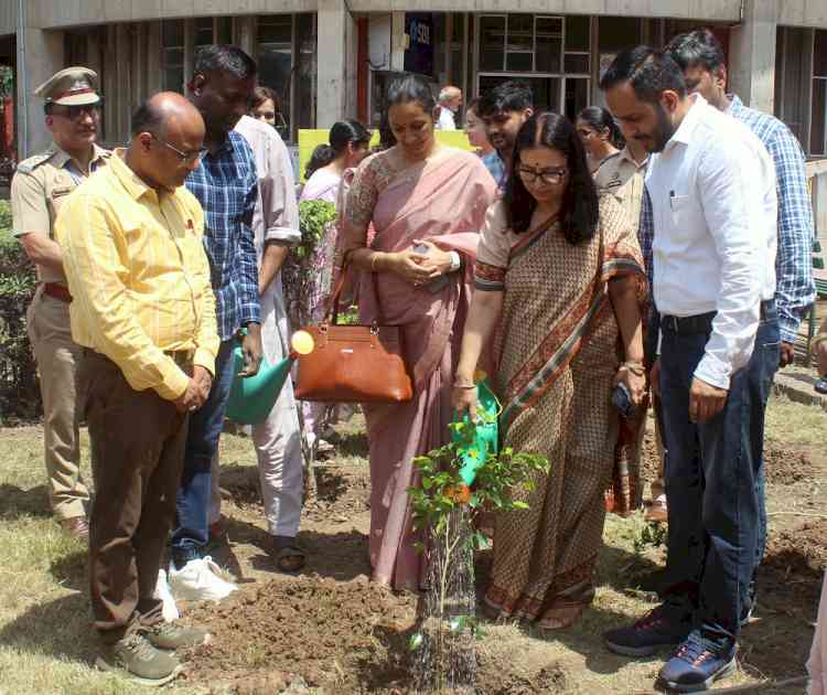 Panjab University VC Prof. Renu Vig plants a sapling
