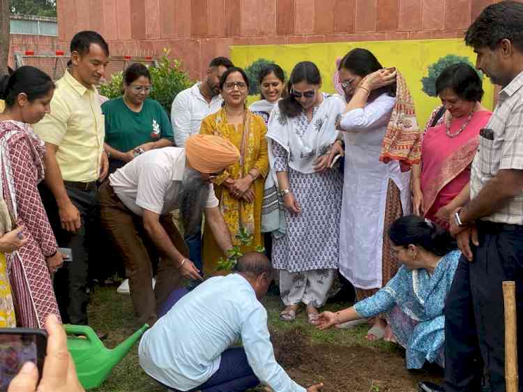 Tree plantation drive