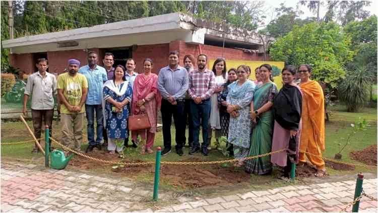Double Chandni, mango, and gulmohar trees planted in PU Hostels