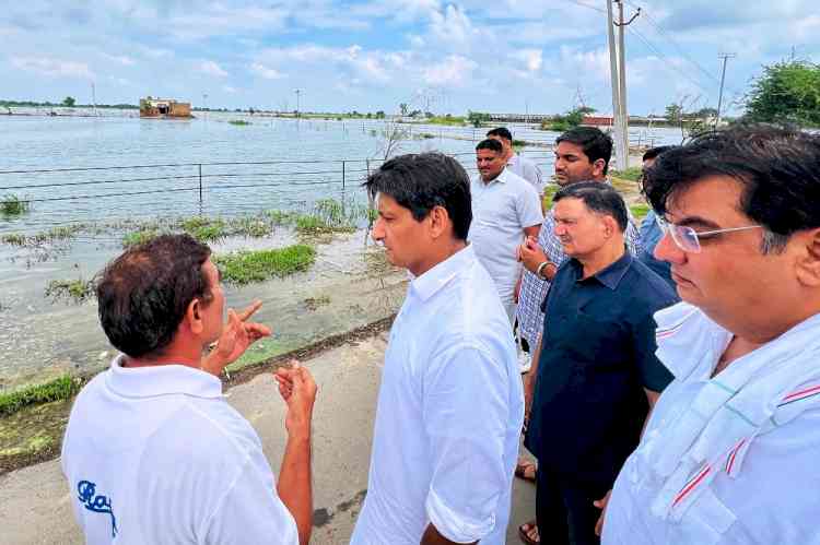 MP Deepender Hooda demands special Girdawari and compensation of Rs 50,000 per acre to the farmers