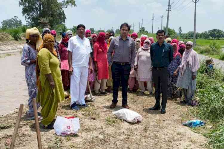 ग्रामीण विकास विभाग के निदेशक ने गांव पहरावर में मनरेगा कार्यों का निरीक्षण किया