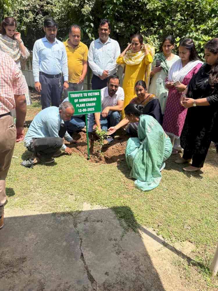 Major plantation drive in University campus