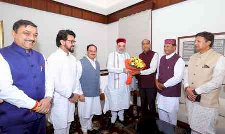 Himachal BJP delegation apprises Union Ministers about calamity loss