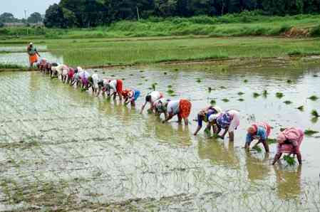 India-UK FTA opens $37.5 billion market for India’s farmers, more jobs for youths