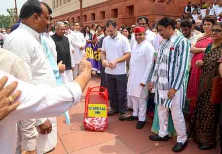 Rahul-led Oppn MPs continue stir in Parliament complex, dump SIR placards in bin  