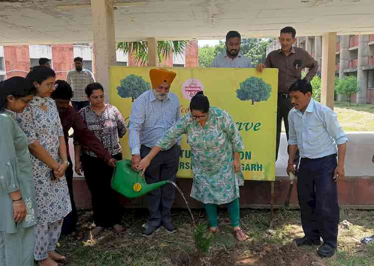 Tree Plantation Drive Organised by Department of Statistics, Panjab University