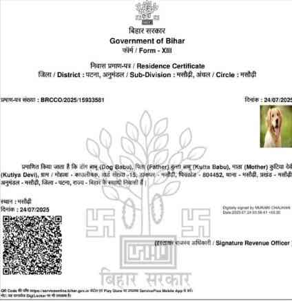 Residence certificate issued to dog in Patna, FIRs ordered against erring officials