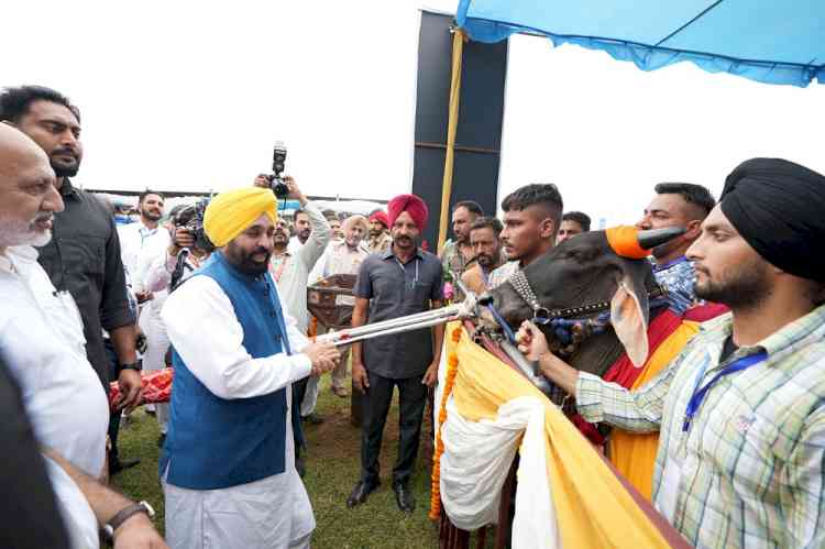 CM felicitated for Passing Law to Restart Bull Races in Punjab