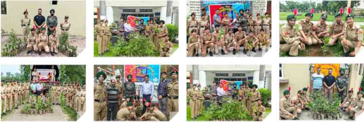 Students Celebrate International Tiger Day with Creative Activities Promoting Wildlife Conservation