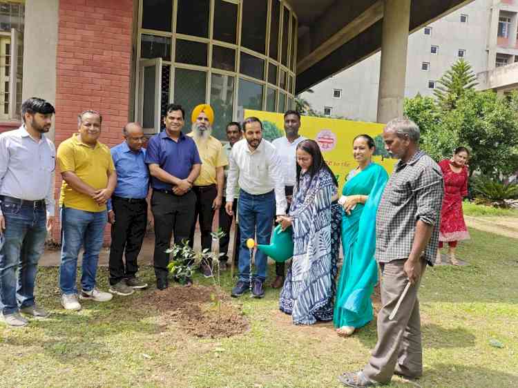 Plantation Drive Conducted at Panjab University Hostels