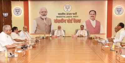 BJP's President elections likely to take place after Vice President poll