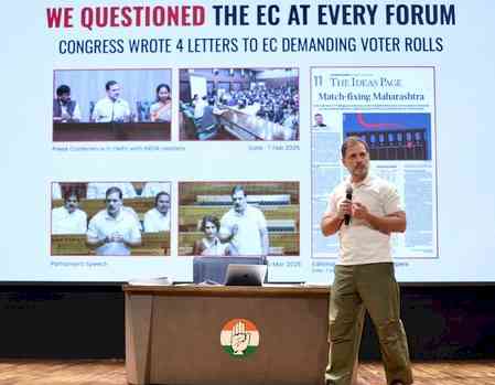 Rahul Gandhi should provide details of irregularities in voter list under oath: Maha CEO 