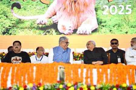 PM Modi's vision helped increase lion population to 891: Environment Minister