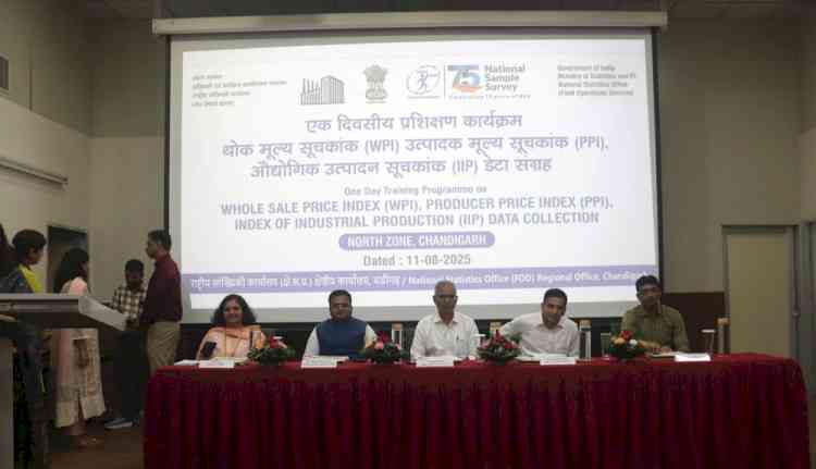 NSO Conducts Capacity-Building Session on Price Surveys and Industrial Data