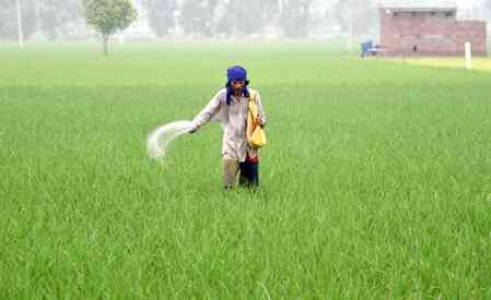 Total area sown under kharif crops in India crosses 995.6 lakh hectares