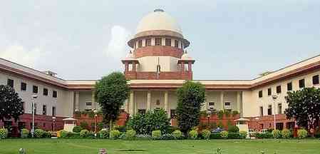 'Will look into', CJI BR Gavai on relocation of stray dogs in Delhi-NCR