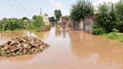 14,200 acres in Punjab hit by floodwaters, says minister