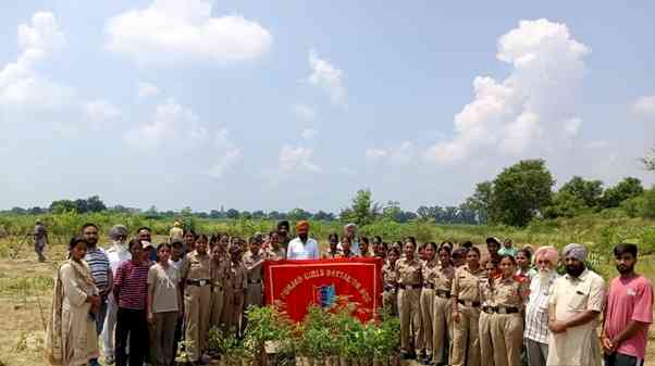 Tree Plantation Drive by 3 PB (G) BN NCC Ludhiana at Village Tajpura