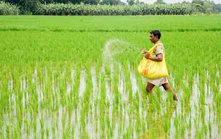 Urea production witnesses 35 pc growth over past decade, DAP sees 44 pc rise: Govt