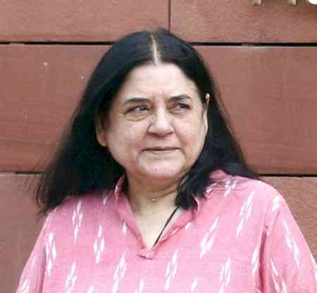 Maneka Gandhi welcomes Supreme Court’s modified directions on stray dogs in Delhi-NCR