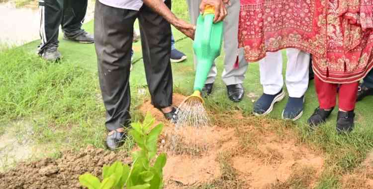 Ivy World School Sets a New Benchmark on Van Mahotsav – 2000 Saplings Planted in Just One Minute