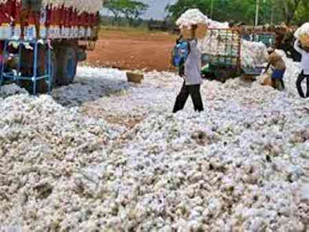 India’s textile sector gets booster shot with import duty exemption on cotton