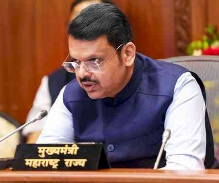 Trying to resolve Maratha quota protest within Constitutional framework: Maha CM