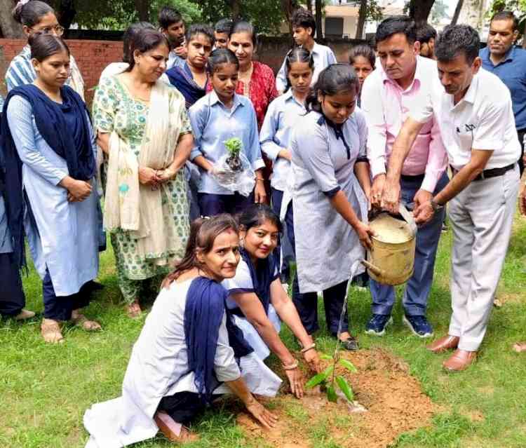 राजकीय आईटीआई में वन महोत्सव आयोजित