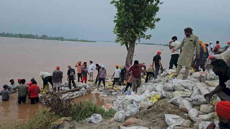 Around 100 villages in Ferozepur hit by floods; Over 3300 rescued