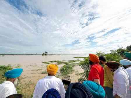 Punjab flood: Govt says over 2.55 lakh impacted, 29 dead
