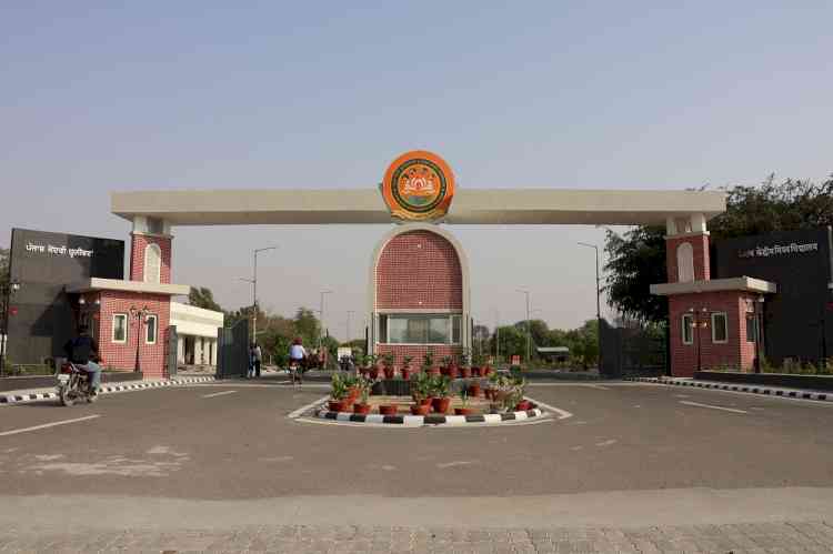 Central University of Punjab Rises to 77th Rank in NIRF 2025 (University Category)