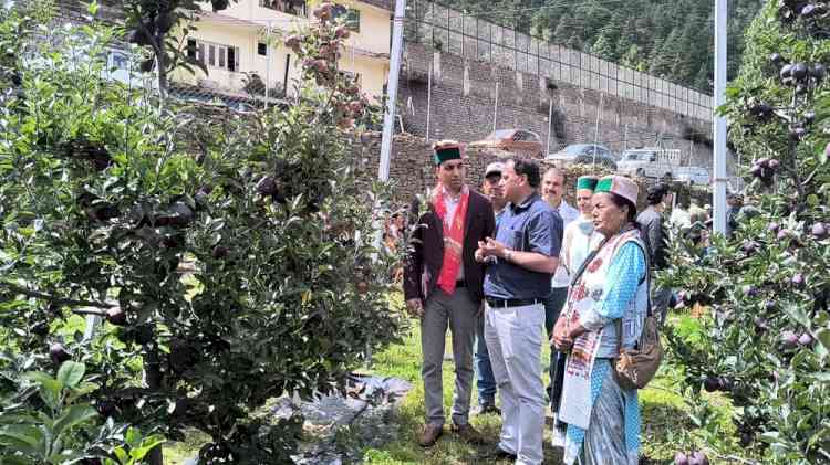 Farmers Exposed to Advanced Apple Production Techniques and New Varieties