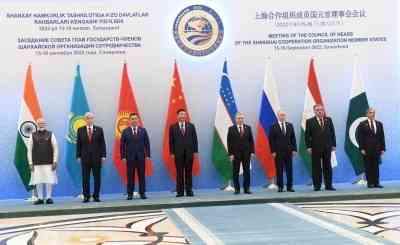 Indian diplomacy’s special call for handling a multipolar world order
