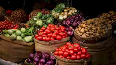 Rate cut difficult this year as Aug inflation a tad higher than 2 pc mark: Report