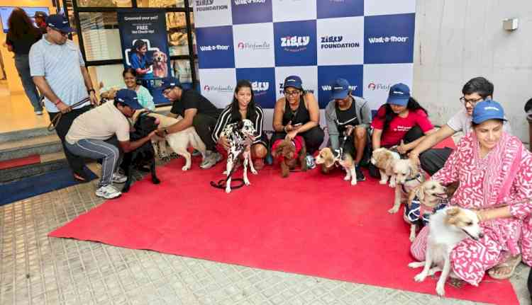 Zigly Hosts Successful Wagathon in Hyderabad to Celebrate Pet-Parent Bonding and Raise Funds for Animal Welfare
