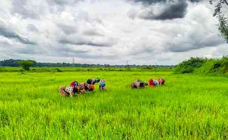 Over 50 lakh farmers become shareholders in 10,000 FPOs in 5 years