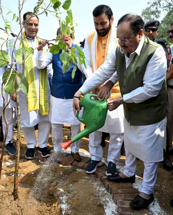 Union Health Minister JP Nadda and CM Nayab Singh Saini inaugurate the ‘Namo Van’ in Rohtak