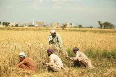 Pakistan Kissan Ittehad criticises filing of FIRs against protesting farmers in Balochistan's Nasirabad 
