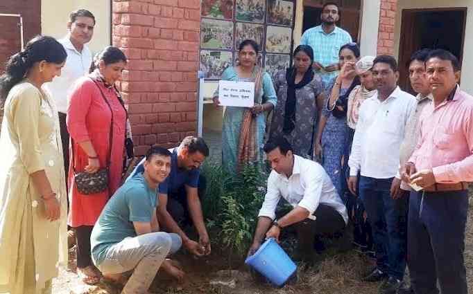 Special Plantation Drive organized by the Labor Department
