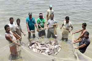 US tariffs dealt blow to Andhra Pradesh’s aqua sector, says CM Naidu